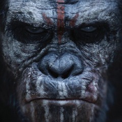 Woke Up Like This (Prod TheVirginsPalace)