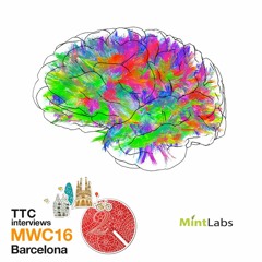TTC #243 Developing The Biggest Database Of Brains
