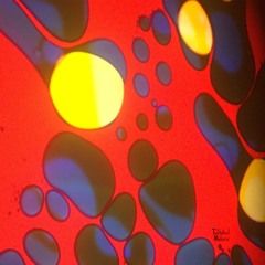 The Twisted Melons - West of the Rock