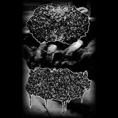 HUMAN STENCH RESTS IN THE MORGUE - 11 UNTITLED TRX FROM V.O.M.I.T. SPLIT TAPE