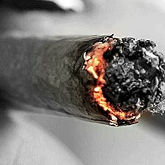 West Coast Beat 2016