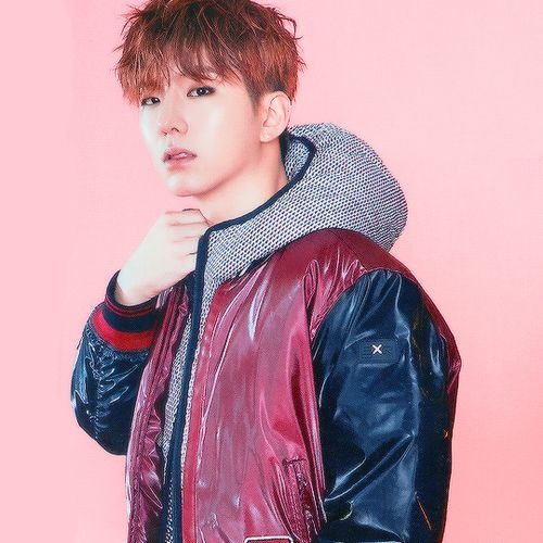 몬스타엑스