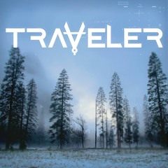 Traveler - Did You Ever (Original Mix)