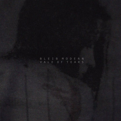 I Don't Like You -Bleib Modern
