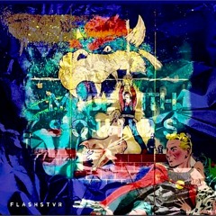 F L A S H S T V R