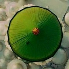 Arsh - E-Azam Ka Dulha Bari Cheez Hai - Nusrat Fateh Ali Khan
