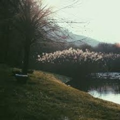 wilough - woods (long lune remix)