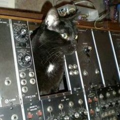 le chat noir du manoir