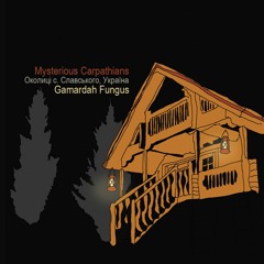 Mysterious Carpathians - Gamardah Fungus - Tiny Portraits