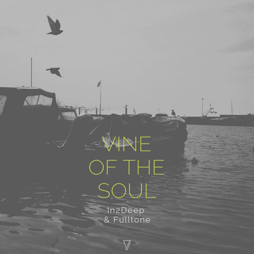 Stream Seven Villas Music Listen To In2deep Fulltone Vine Of The Soul Playlist Online For Free On Soundcloud