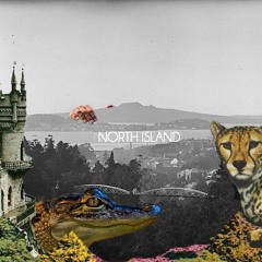 N o r t h I s l a n d