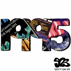 The Year - 1995
