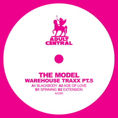 The Model - Spinning