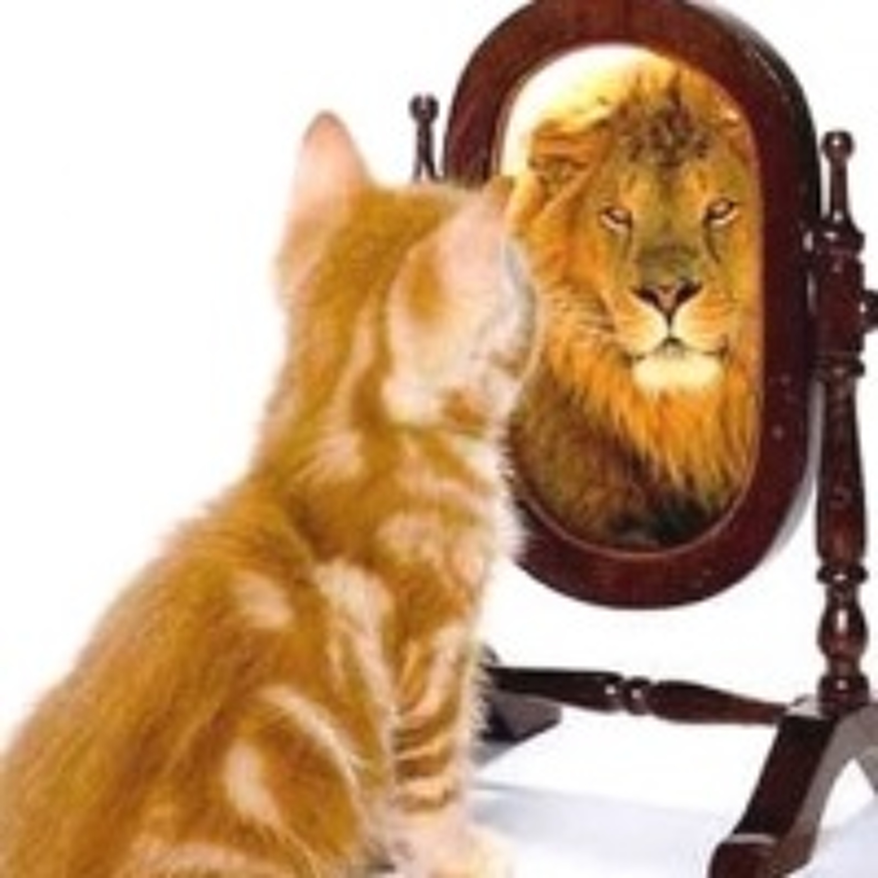 Simple Steps to Build Your Confidence – Part 2 - Deep Breathing and Starting the Day With a Win episode artwork