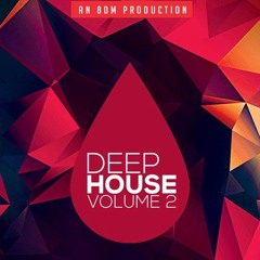 8DM Deep House V2 10 MASTER 124 BPM Java