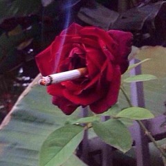 s h e s m o k e T h o ? [lofi.hiphop 25min BB]