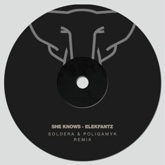 Elekfantz - She Knows (Soldera & Poligamyk Remix)