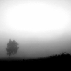 Malefic Mists (Prod. gin$eng)