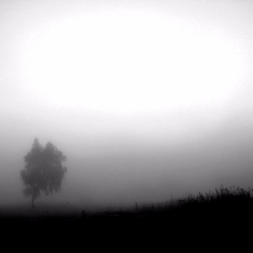 Malefic Mists (Prod. gin$eng)