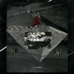 AME DE BOUE - C'est l'hiver (UPCOMING LP)