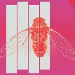 1 - If I'm Honest -Missy Higgins Cover.MP3