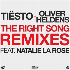 The Right Song (Mike Williams Remix)