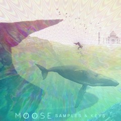 [Single] Saltwater Trip (Prod. By Møøse)