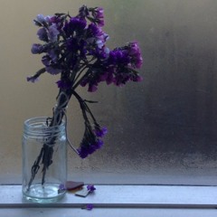 你的朋友的照片 // pictures of your friends