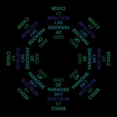 Bird Of Paradise - Sky Rostrum EP (Clouded 028)