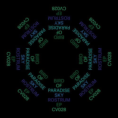 Bird Of Paradise - Sky Rostrum EP (Clouded 028)