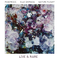 Full Moon (Live Version Feat. Elle Shimada & Nature Flight)