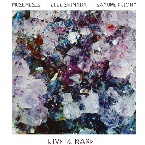 Full Moon (Live Version Feat. Elle Shimada & Nature Flight)