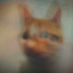 dulzura distante (fernando cabrera)