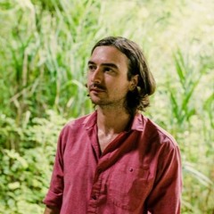 Martin Courtney - 04 Foto (live at Baby's All Right 2016)