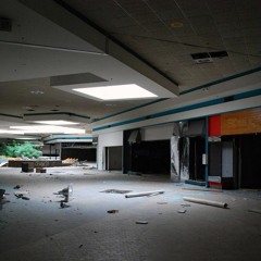 FRAGILE ECONOMICS: Farewell Ruins of the Mall