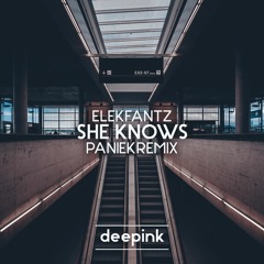 Elekfantz - She Knows  (Paniek Remix)