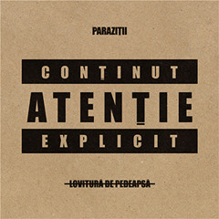 5. Parazitii - Politia trece [ www.Muzica.com ]
