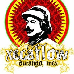 Un dia mas de vida -xecaflow-