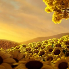 A.R.D.I. & Cynthia Hall - Sunflowers (R.I.B Chillout Mix)