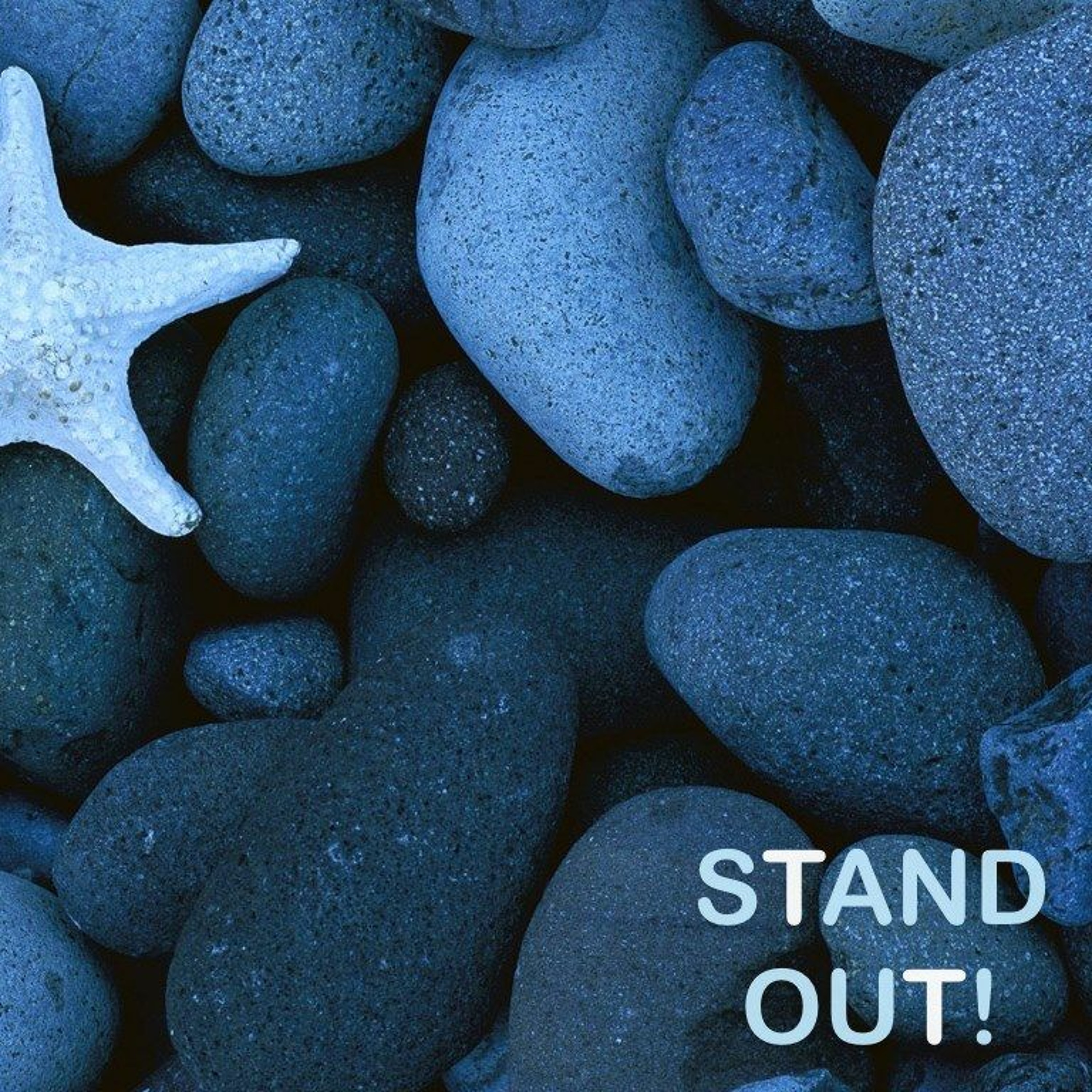 Stand Out - Part 5 episode artwork