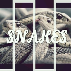 Bless'd S.o.u.l.- $NAKE$ (2016) (Prod By Sezay).mp3