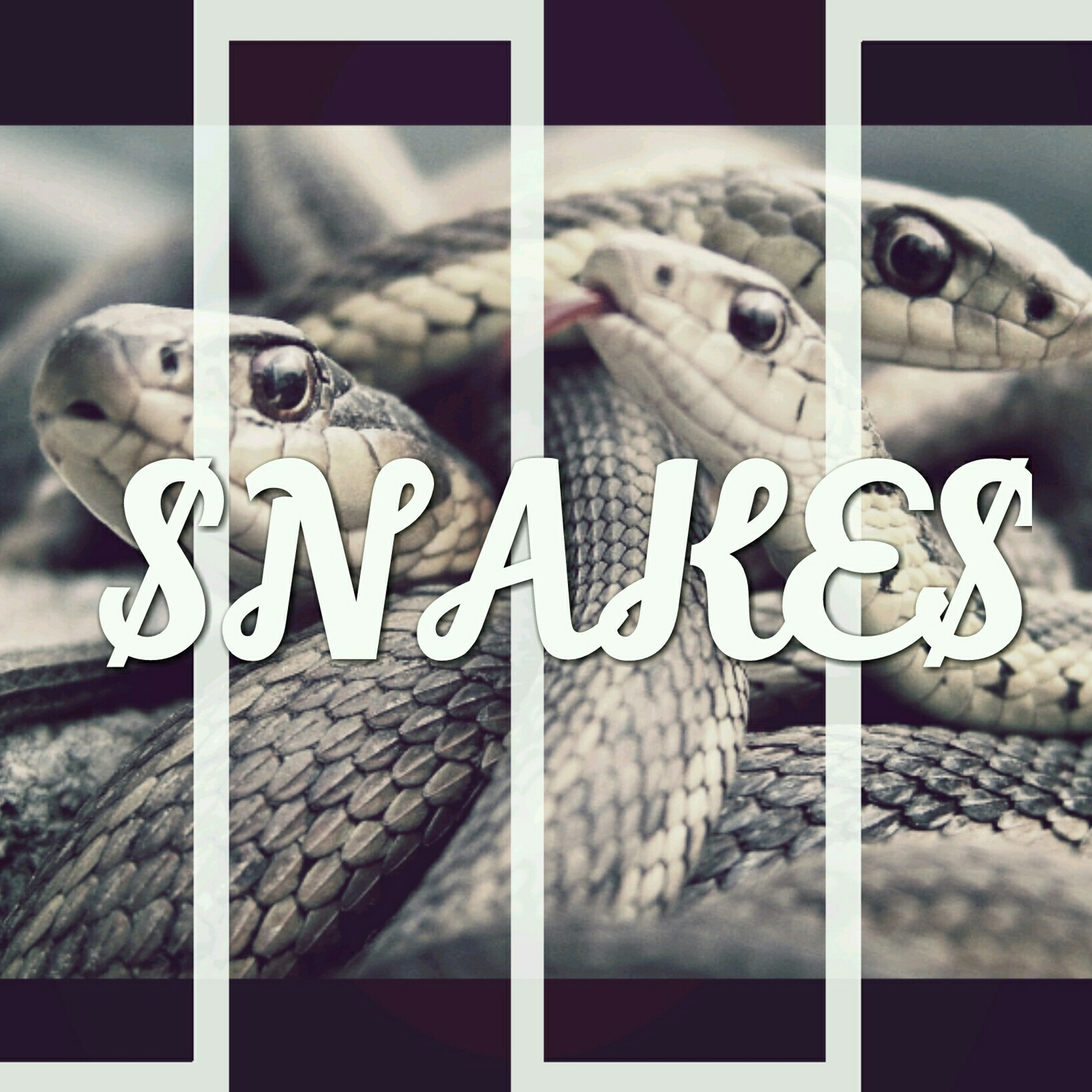 Bless'd S.o.u.l.- $NAKE$ (2016) (Prod By Sezay).mp3 episode artwork