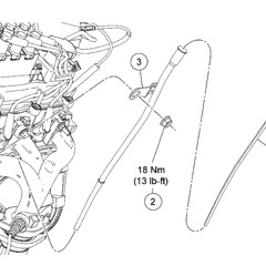 Honk if You're Horny