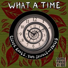 Tom Spirals & Parly B - What a Time (Original Mix)