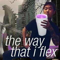 thewaythatiflex