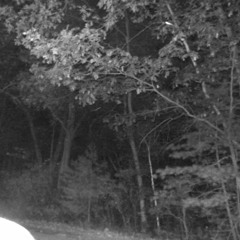 Dagger [Slowdive Cover]