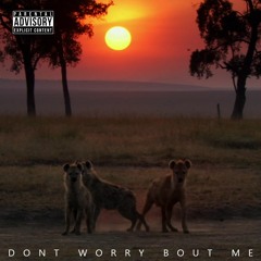 Dont Worry Bout Me (feat. Scoutmaaster Jet & Crisis Scenaario) Prod. CASP3R
