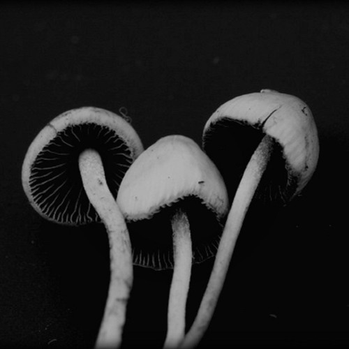 Beats of Tomorrow, Today. Part Deux.