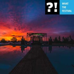 what the festival 2016
