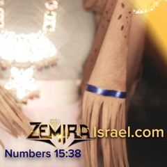 Stand Up (Debut Single from the Debut Album "Legendary People" @ zemiraisrael.com)
